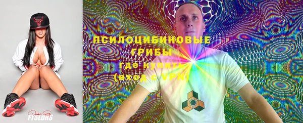 сатива Дегтярск