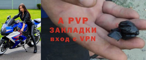 сатива Дегтярск