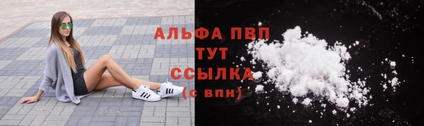 сатива Дегтярск