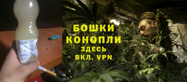 молекула духа Дубовка