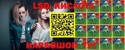 гашик Кулебаки