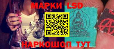 гидропоника Дубна