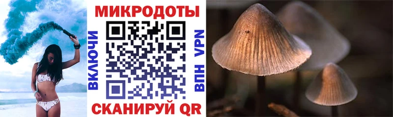 Галлюциногенные грибы мухоморы  Луховицы 