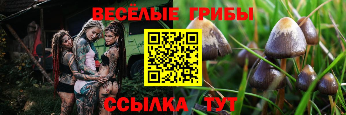 Галлюциногенные грибы ЛСД Луховицы