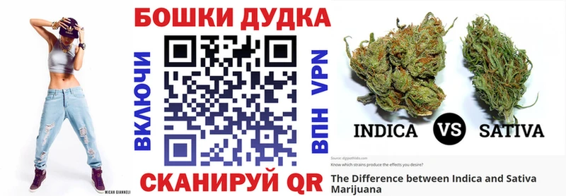 дарнет шоп  Луховицы  Шишки марихуана сатива 